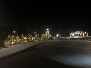 2021 Coe Lake Christmas Tree Project image 